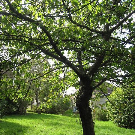 Maison Avec Grand Jardin Pour 15 Couchages En Normandie Cairon Værelse billede