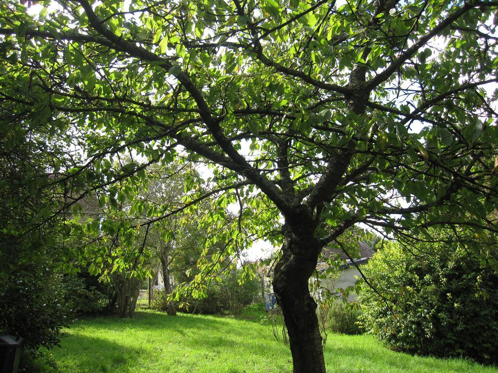 Maison Avec Grand Jardin Pour 15 Couchages En Normandie Cairon Værelse billede